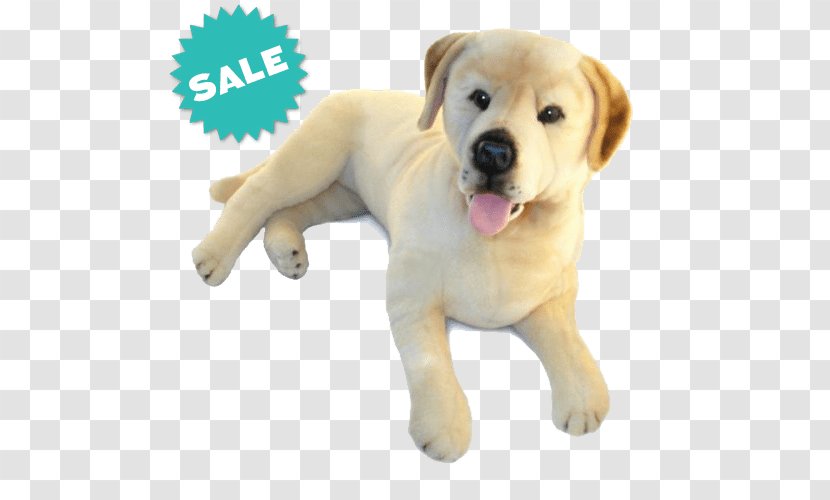 Labrador Retriever Puppy Stuffed Animals & Cuddly Toys Dog - Frame Transparent PNG