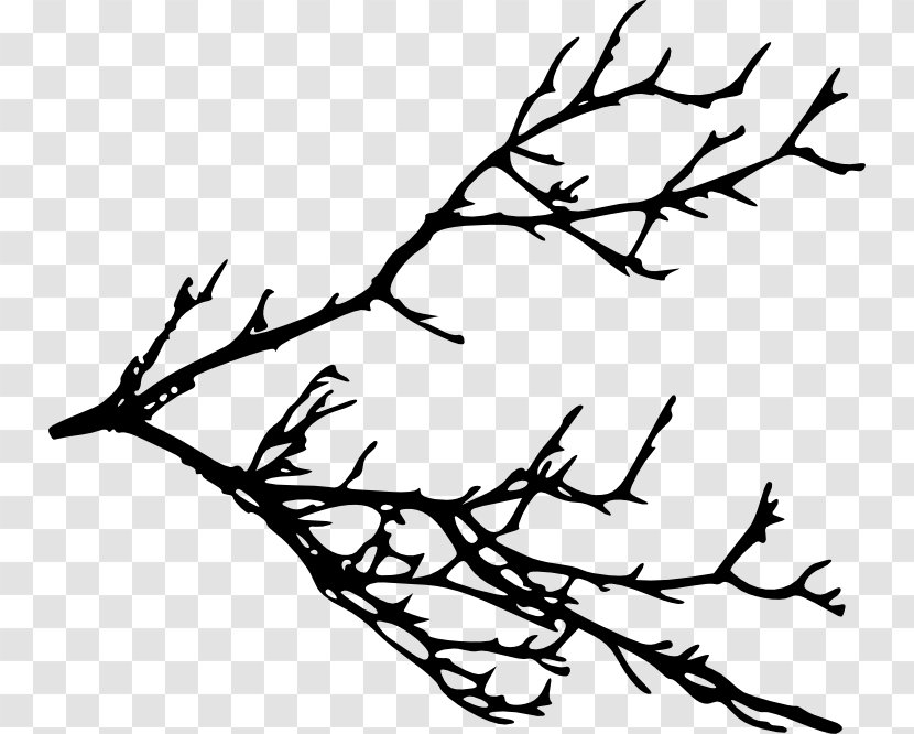 Twig Silhouette Branch Clip Art - Black And White Transparent PNG