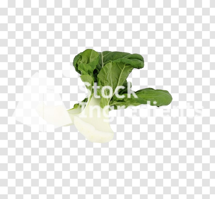 Leaf Vegetable Romaine Lettuce - Food - Bok Choy Transparent PNG