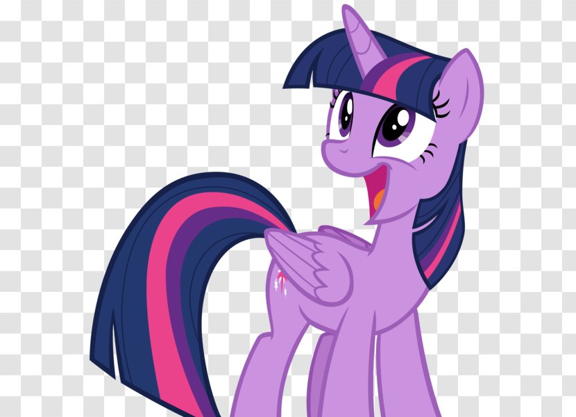 My Little Pony Twilight Sparkle Rainbow Dash Equestria - Horse Like Mammal Transparent PNG