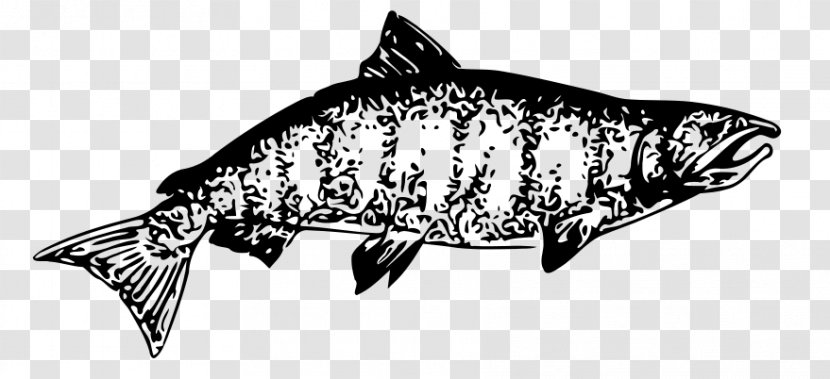 Chinook Salmon Clip Art - Marine Mammal - Monochrome Photography Transparent PNG