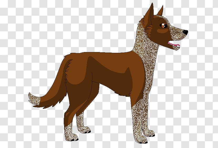 Dog Breed Tail - Carnivoran Transparent PNG