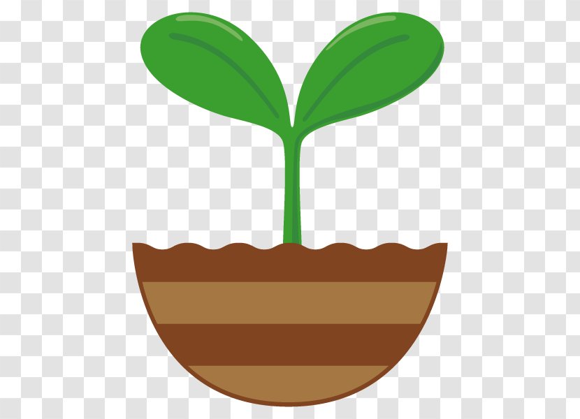 Leaf Clip Art Plant Stem Tree Flowerpot - Organism Transparent PNG
