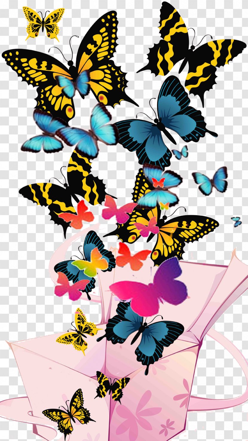 Butterfly Clip Art - Border Transparent PNG