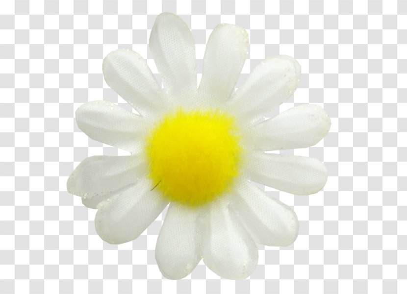 Common Daisy German Chamomile Oxeye Flower Transparent PNG