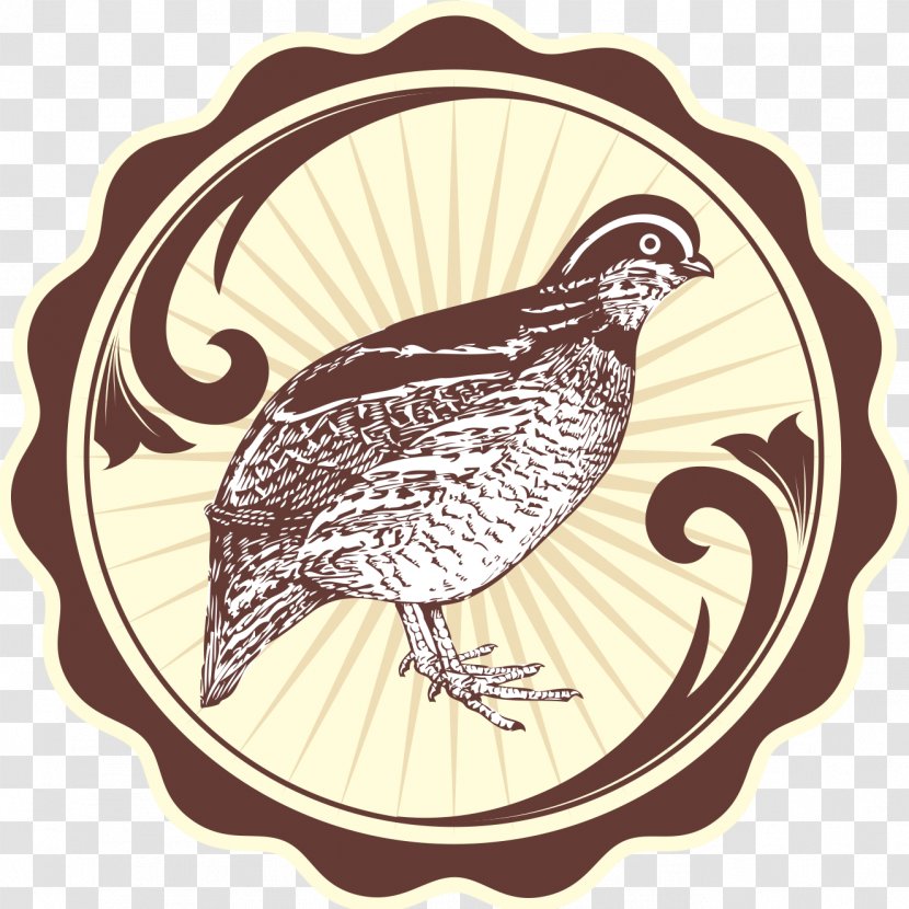 Quail Eggs Bird Landfowl - Beak Transparent PNG