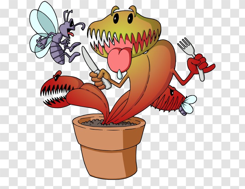 Venus Flytrap California Pitcher Plant Carnivorous Seed - Flower - Fly Trap Transparent PNG