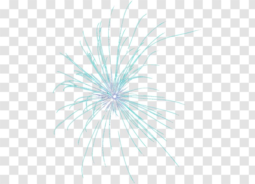 Fireworks Desktop Wallpaper - Wing Transparent PNG