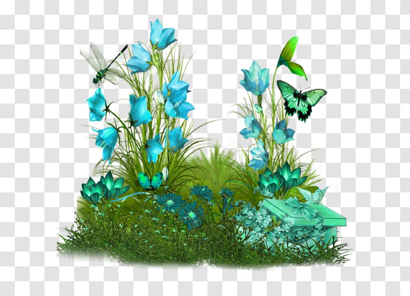 Photography Clip Art - Turquoise - Butterfly On The Grass With Flowers Transparent PNG