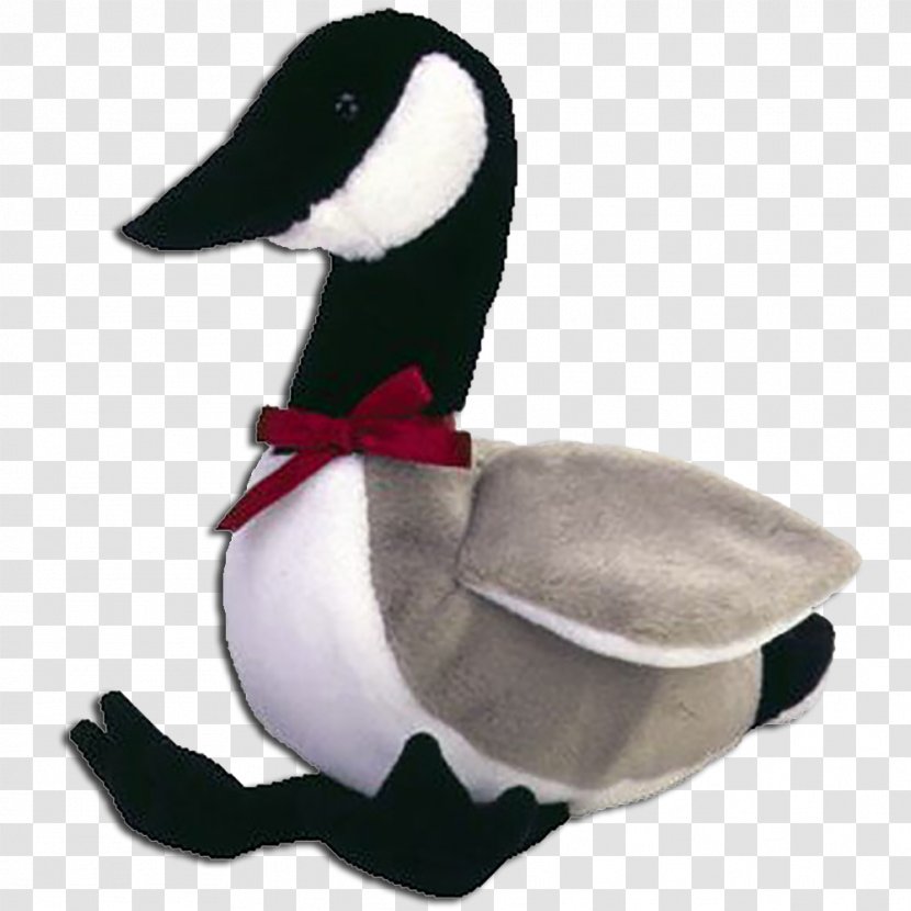 Duck Goose Stuffed Animals & Cuddly Toys Beanie Babies Ty Inc. - Bird Transparent PNG