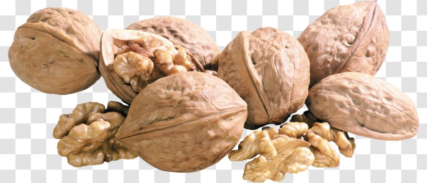 English Walnut - Commodity Transparent PNG