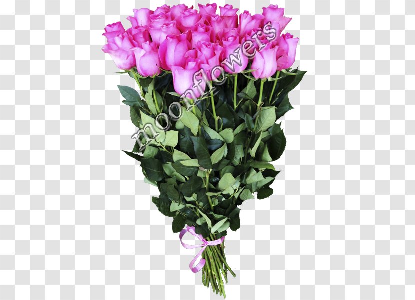 Garden Roses Floral Design Cut Flowers - Pink M - Rose Transparent PNG