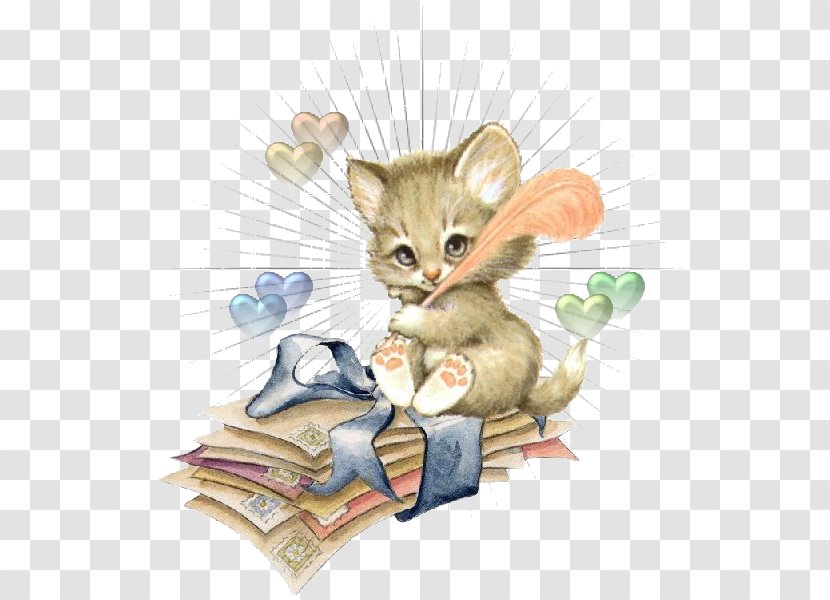 Whiskers Kitten Cat Computer Mouse Transparent PNG