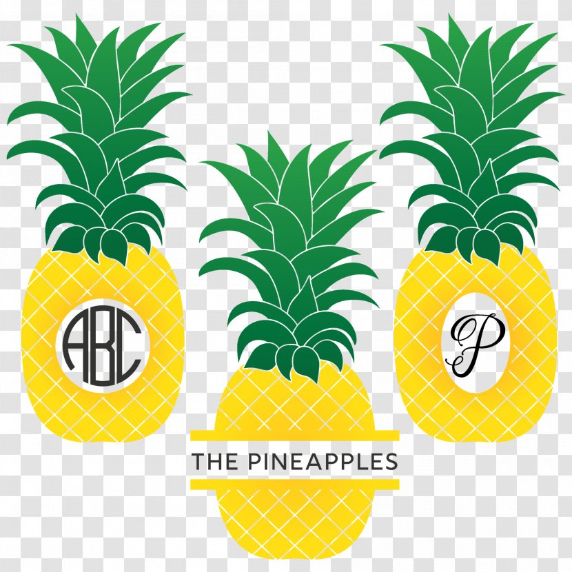 Pineapple Bromeliads Food Plant - Ananas Transparent PNG