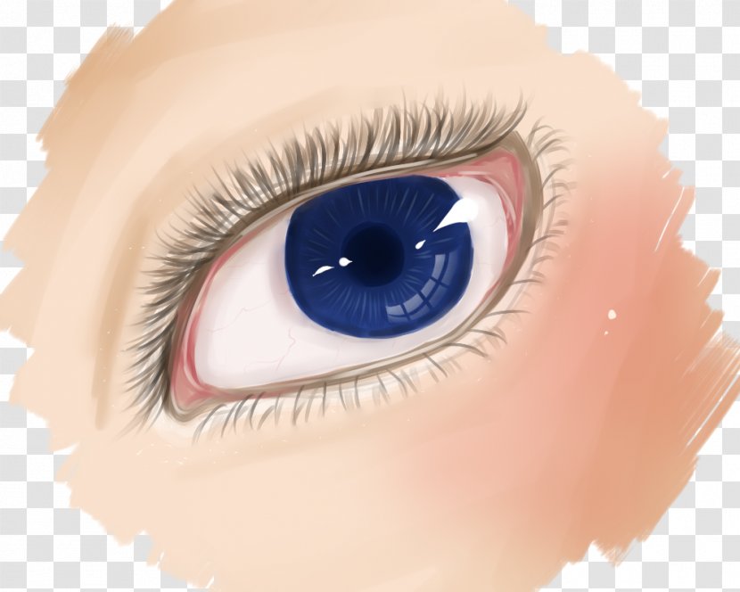 Eyelash Extensions Close-up - Cartoon - Cyber Eye Transparent PNG