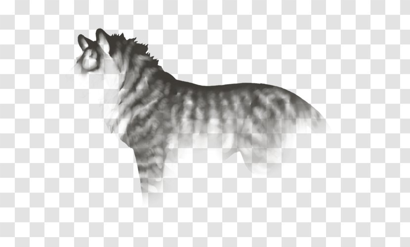 Whiskers Tiger Cat Dog Breed Horse - Tail Transparent PNG