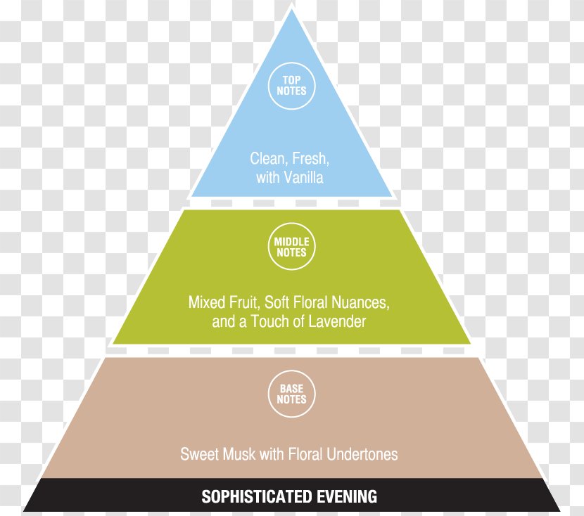 Ketogenic Diet Diagram Health Transparent PNG