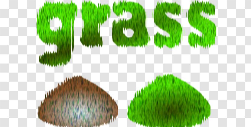 Grasses Clip Art - Grass - Cartoon Pictures Of Transparent PNG