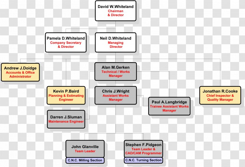 Brand Logo Diagram - Area - Organization Chart Transparent PNG