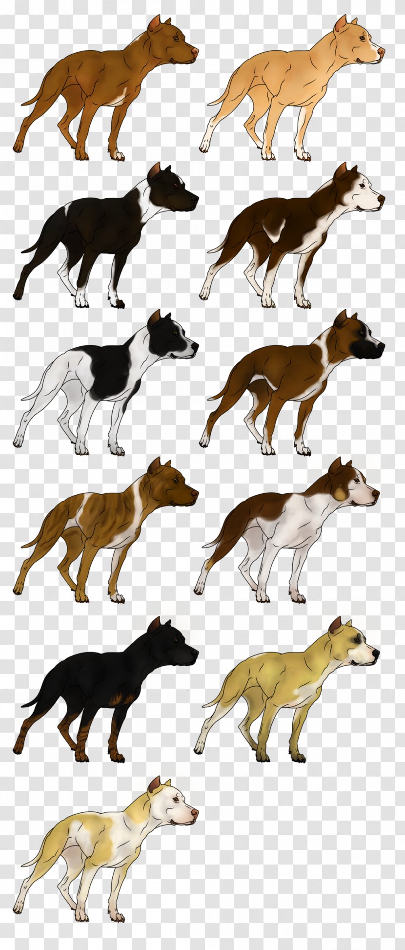 American Pit Bull Terrier Bulldog Game - Organism - Pitbull Transparent PNG