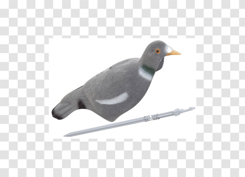 Decoy Flocking Duck Bird Columbidae - Pigeon Transparent PNG