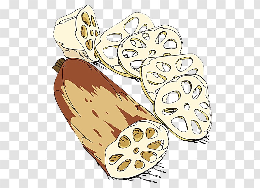 Lotus Root Cartoon Illustration - Hand - Hand-painted Transparent PNG