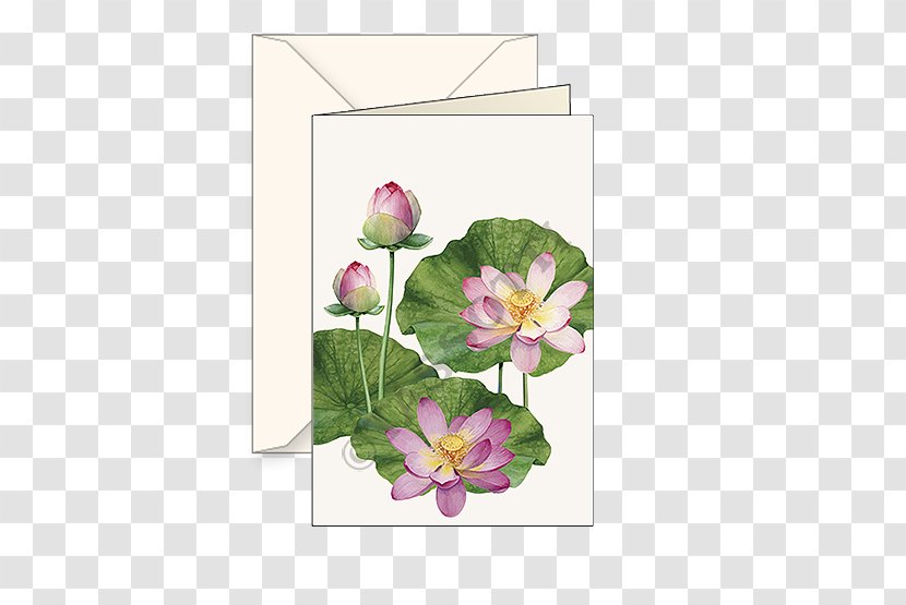 Floral Design Paper Cut Flowers - Rose Order - Flower Transparent PNG