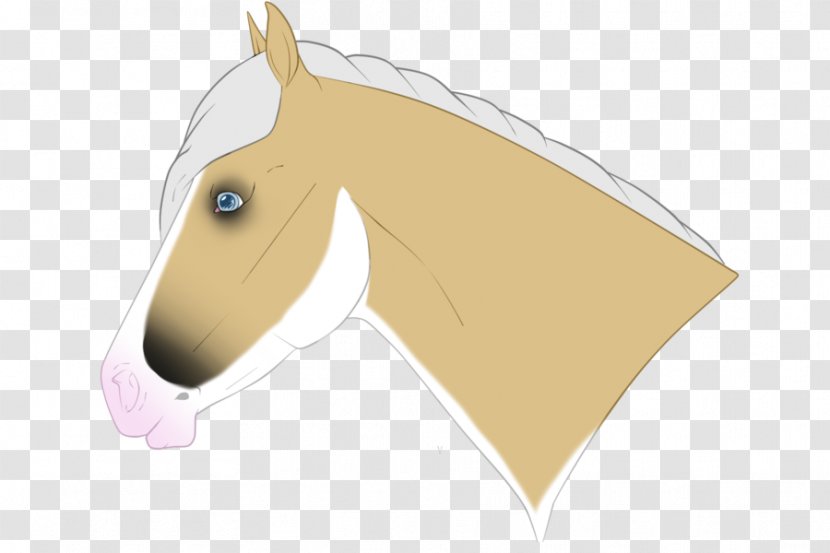 Pony Mustang Halter Mane Rein - Mammal - Whispering Transparent PNG