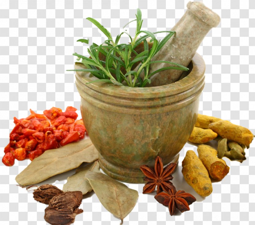 Ayurveda Therapy Panchakarma Shirodhara Medicine - Herbal Transparent PNG
