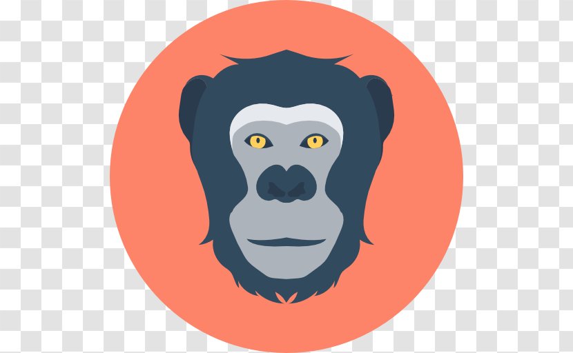Gorilla Macaque Clip Art - Snout Transparent PNG
