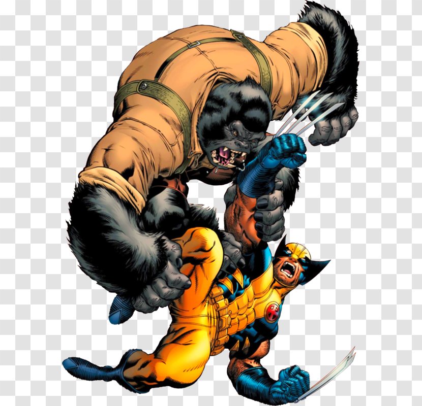 Wolverine Superhero Sabretooth Agents Of Atlas Comics - Vb Transparent PNG