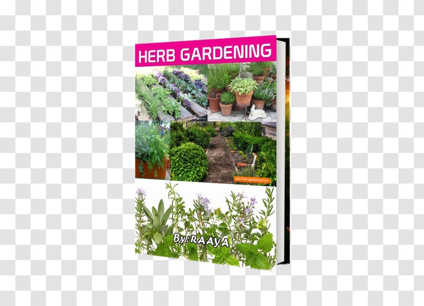 Fitomedicamentos Na Pratica Ginecologica: E OBSTETRICA Shrub Herb Flora Ecosystem - Gynaecology - Garden Transparent PNG