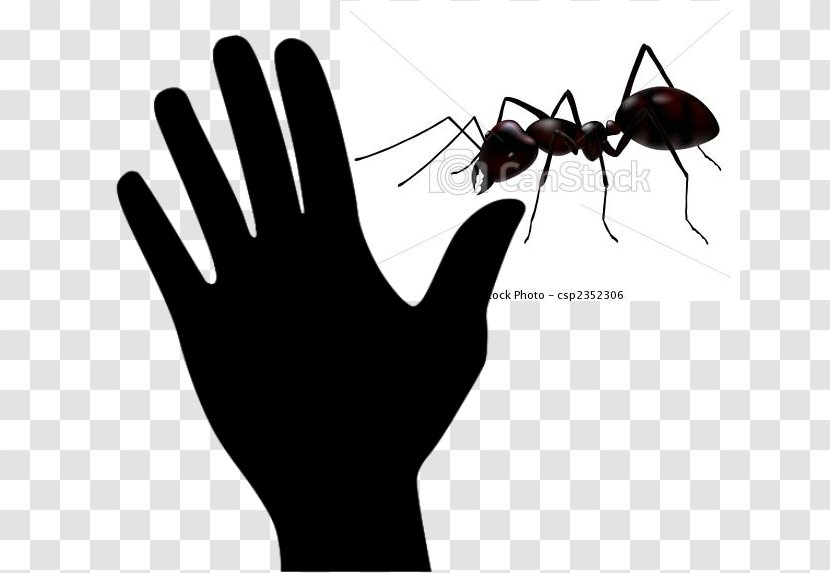 Ant Insect Clip Art - Black Garden Transparent PNG