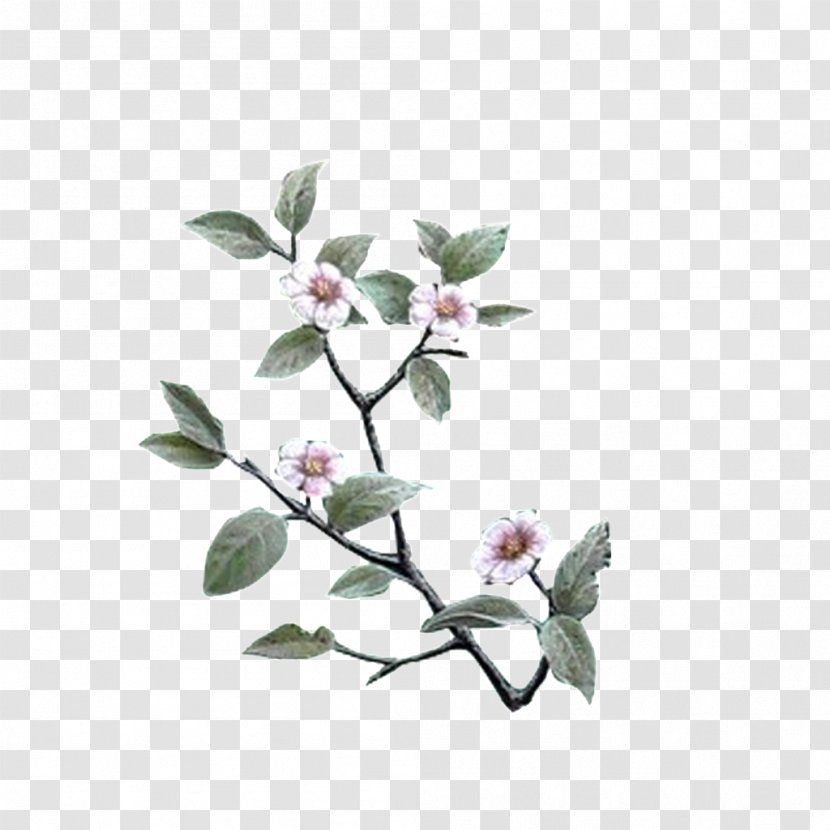 White Pear - Floral Design - Flora Transparent PNG