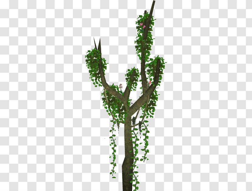Zoo Tycoon 2 Tree Plant Branch Wiki - Twig - Climbing Transparent PNG