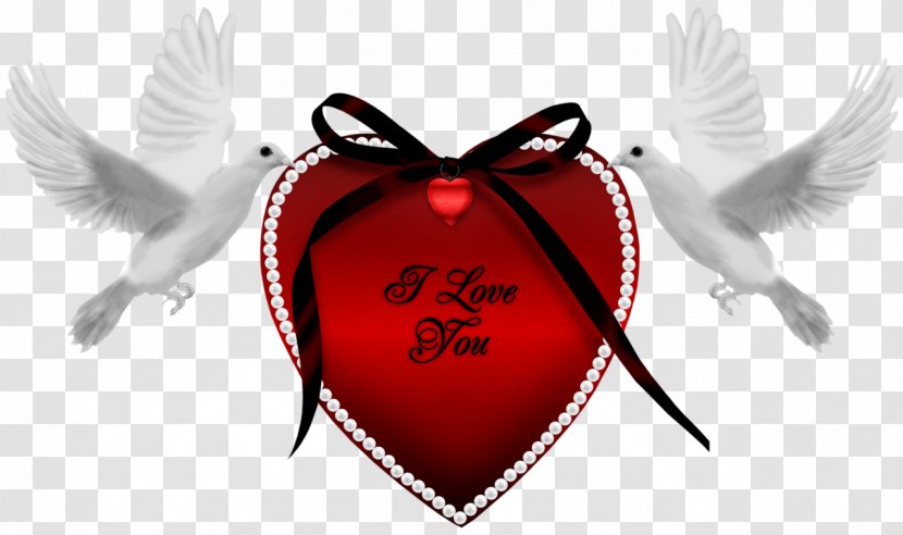 Heart Love Valentine's Day Friendship - Frame - Bay Single Life Transparent PNG