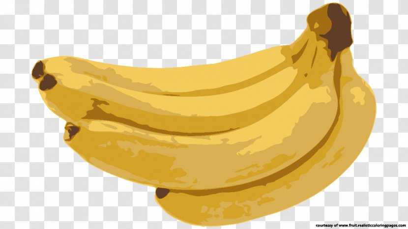 Latundan Banana Pisang Goreng Saba Fruit Transparent PNG