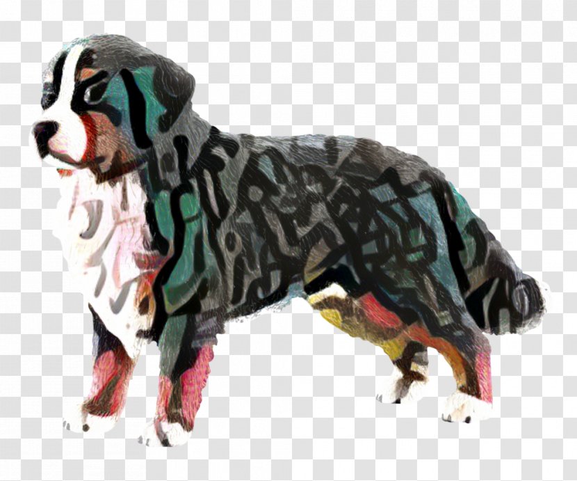 Mountain Cartoon - Swiss Dog - Sporting Group Giant Breed Transparent PNG
