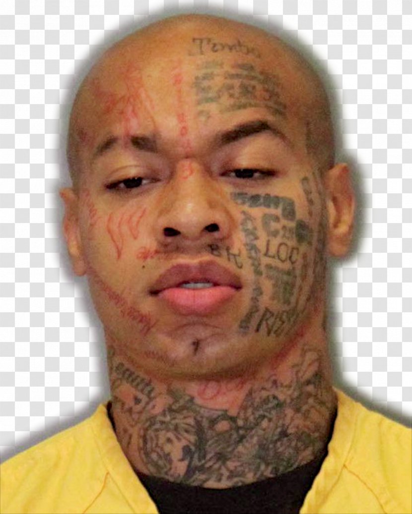 Nikko Jenkins Nebraska Murder Spree Killer Court - Flower - Green Homes Logo Transparent PNG