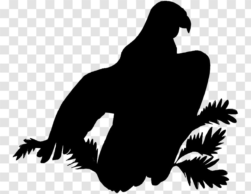 Vector Graphics Clip Art Silhouette Image Child - Crow Transparent PNG