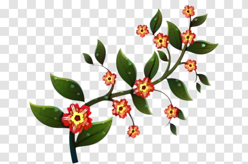 Dogwood Tree - Flowering - Daphne Transparent PNG