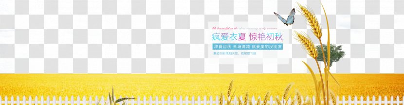 Graphic Design Brand Yellow Wallpaper - Computer - Stunning Autumn Wheat Butterfly Poster Layout Transparent PNG