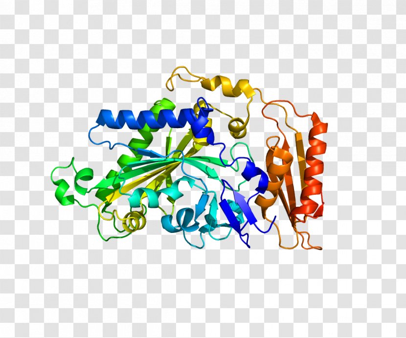 FARS2 Protein Transfer RNA Gene TRIM27 - Logo - Expression Transparent PNG
