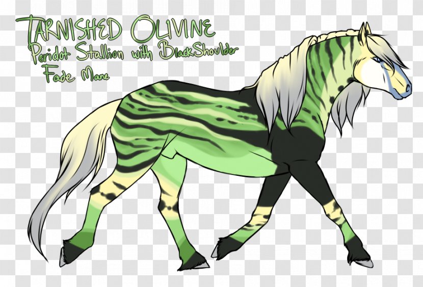 Mane Mustang Quagga Pack Animal Cat - Organism Transparent PNG