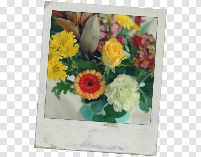Floral Design Cut Flowers Still Life Photography - Flower Transparent PNG