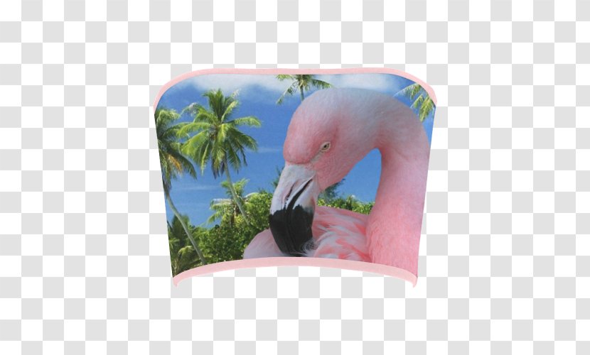 Flamingos Fauna Pink M Beak Sound - Beach Transparent PNG