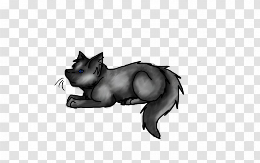 Whiskers Cat Horse Canidae Dog - Like Mammal Transparent PNG