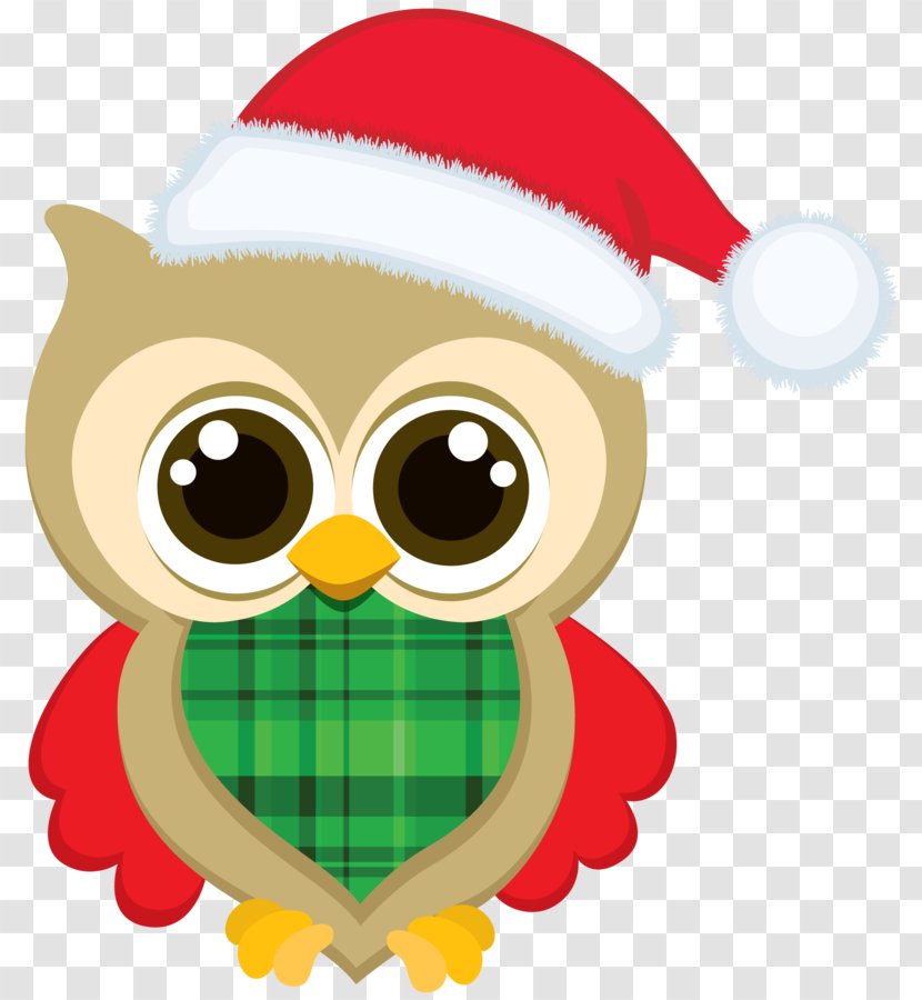 Christmas Santa Claus Clip Art - Owl - Vector Transparent PNG