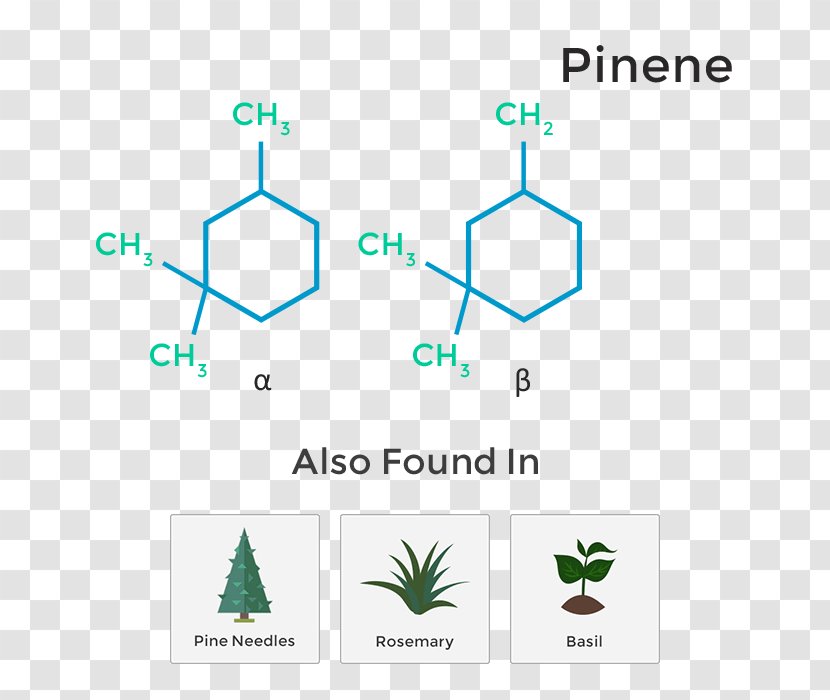 Logo Brand Product Design Leaf - Diagram Transparent PNG