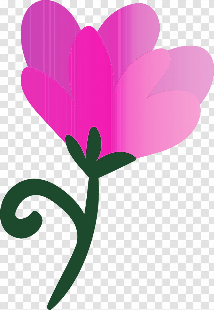 Plant Stem Petal Leaf Pink M Flower Transparent PNG